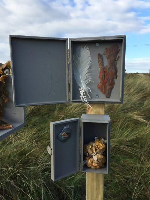 Cabinet of natural (Ameland) memories
