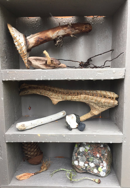 Cabinet of natural (Rauma) memories, 2017