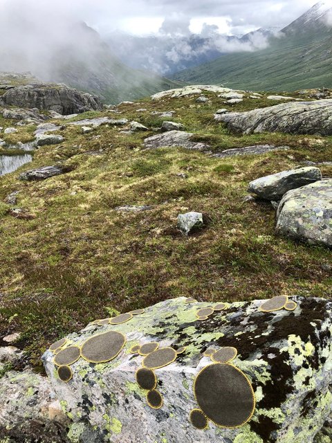 Symbiosis 2 Norway