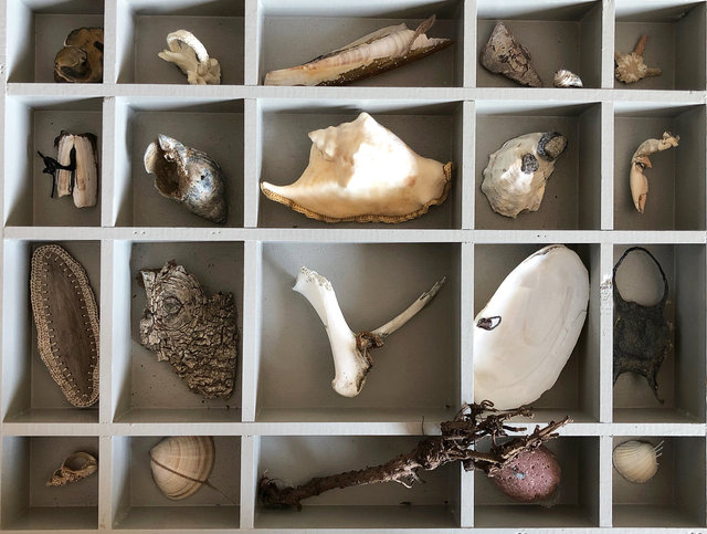 Cabinet of natural (Vadehavet) memories