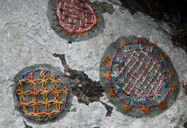 Symbiosis in Hallandsöm