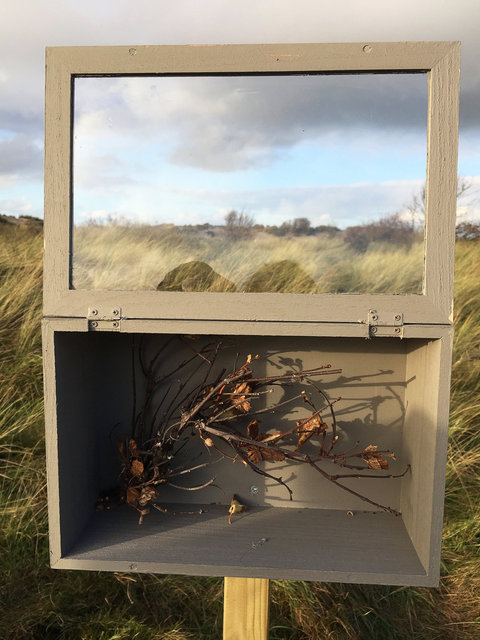 Cabinet of natural (Ameland) memories