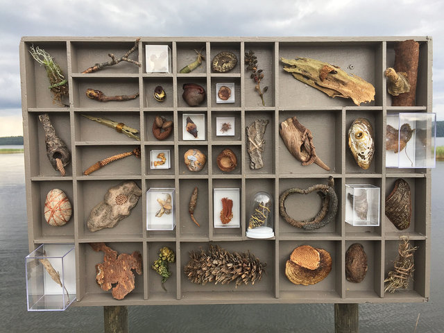Cabinet of natural (Sjuhäradsrundan) memories