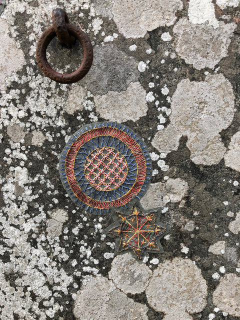 Symbiosis in Hallandsöm