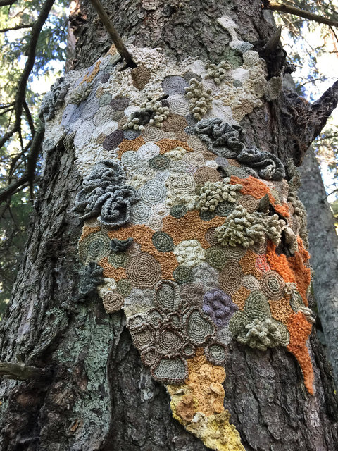 Symbiosis