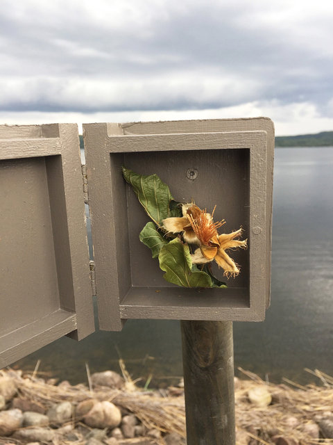 Cabinet of natural (Sjuhäradsrundan) memories
