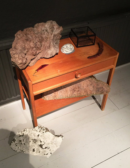Cabinet of natural memories