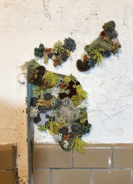 Symbiosis
