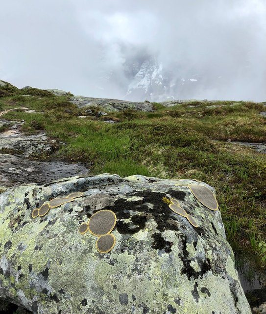 Symbiosis 2 Norway
