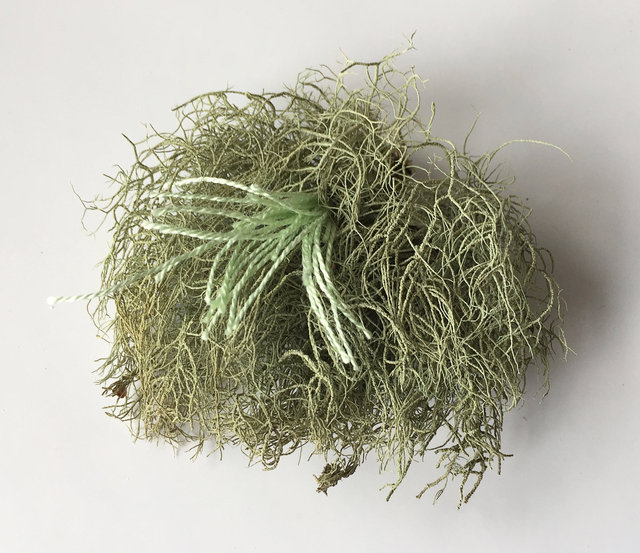 Cabinet of natural (Rauma) memories, 2017