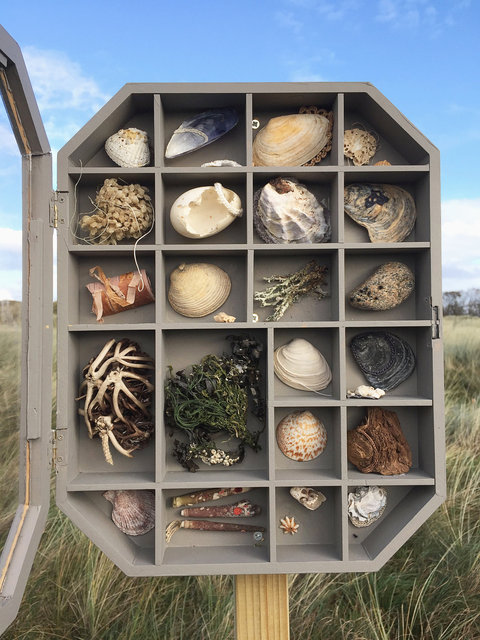 Cabinet of natural (Ameland) memories