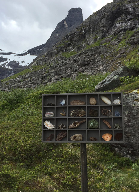 Cabinet of natural (Rauma) memories, 2017