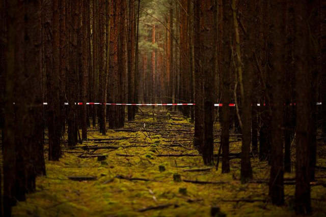 German Nuclear Waste Protest