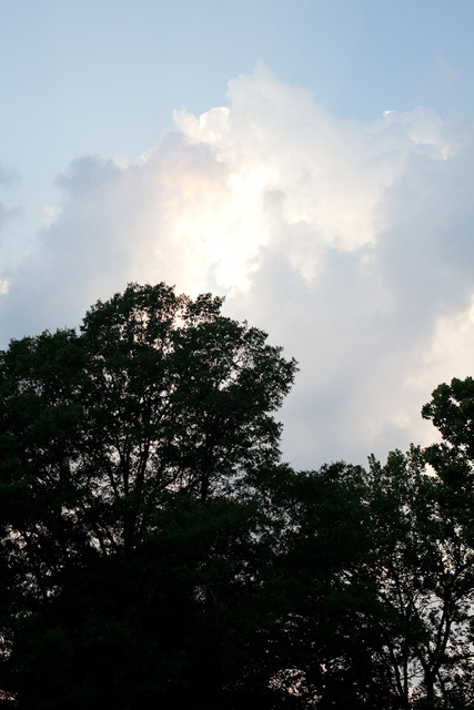GD_Wedding_0015_0466.jpg
