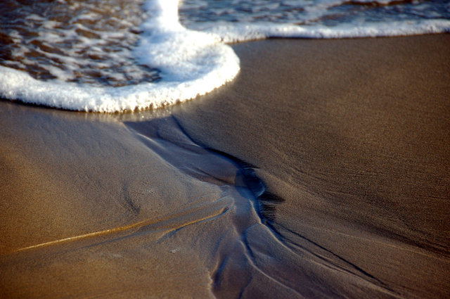 Delta del Ebro_0010.JPG