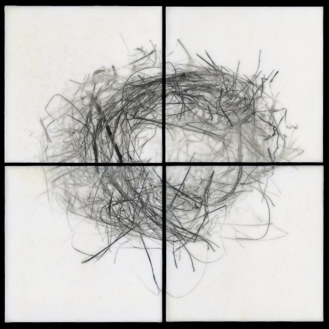 Nest XIV