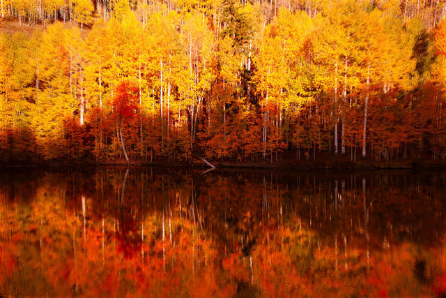 AspenReflections2015_MG_2719-as-Smart-Object-1.jpg
