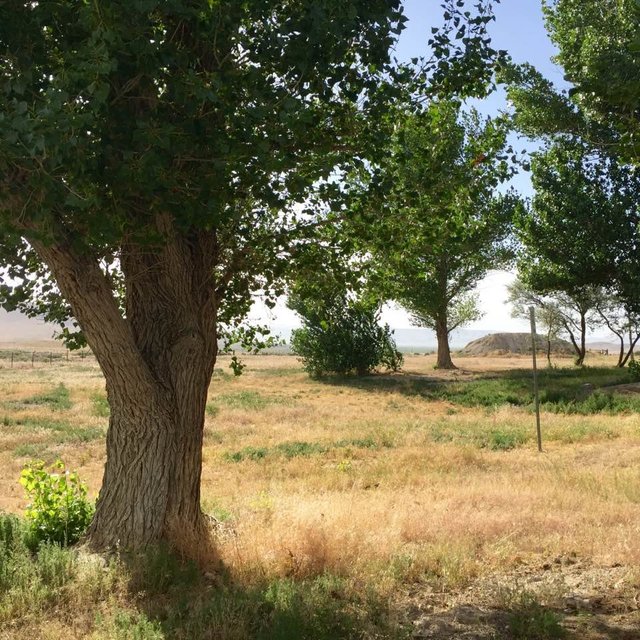 California Trail. Elko, NV.