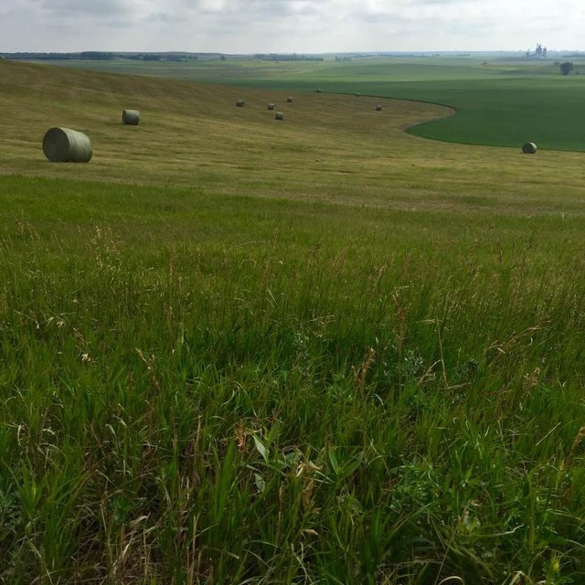 Western North Dakota.