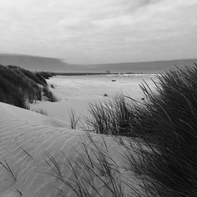 Yaquina Bay. Newport, OR.