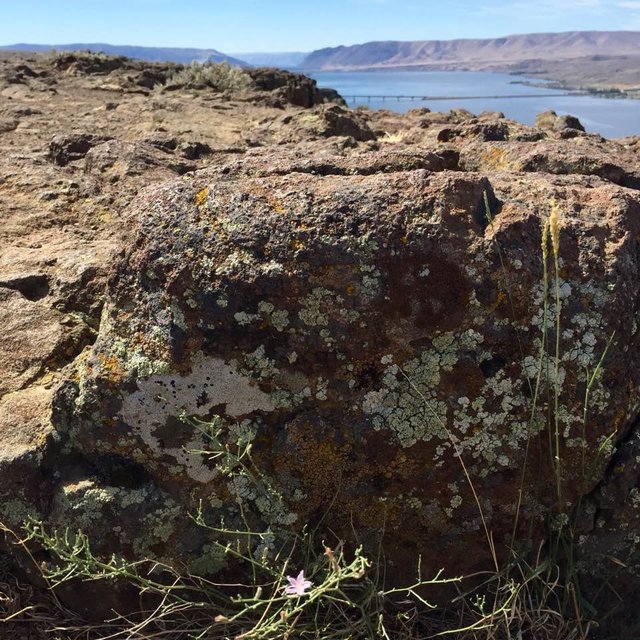 Eastern Washington State.