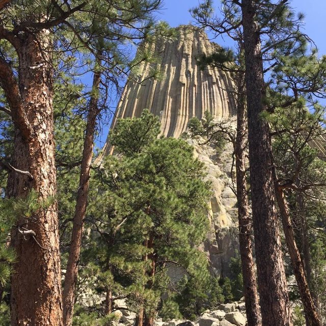 Devil's Tower National Monument. Crook County, WY.