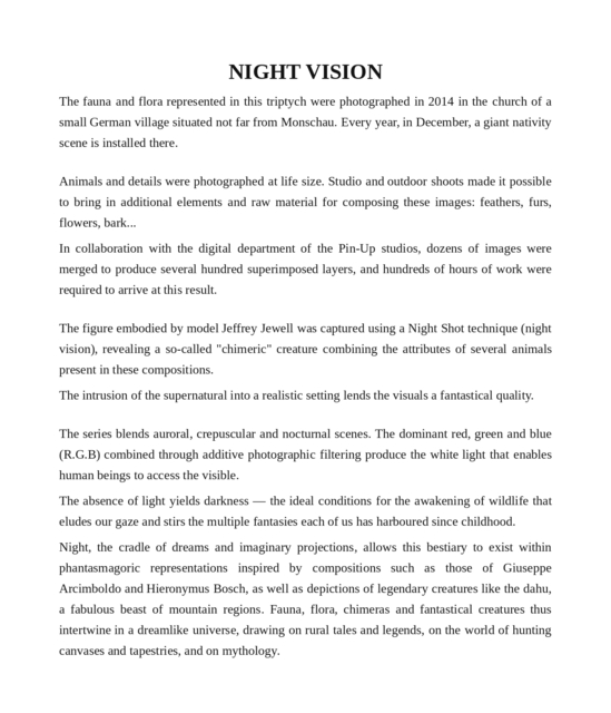 NightVision_EN.png