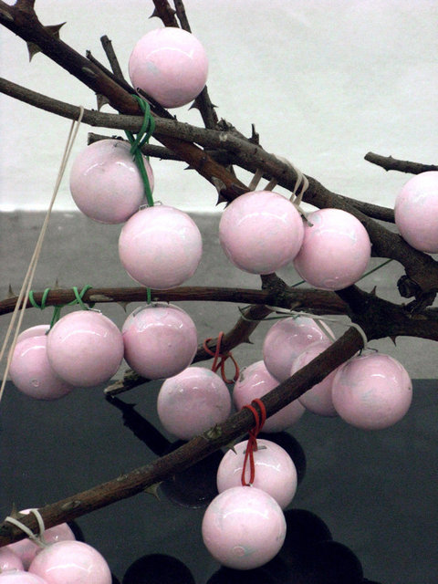 Cherry Blossom, 2010
