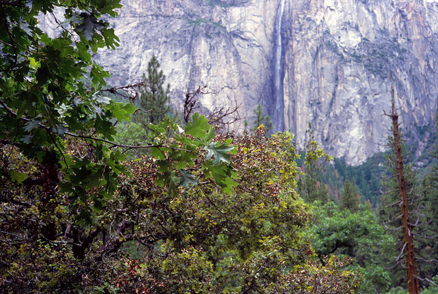 Sierra Nevada's, Yosemite. Summer 2016. (16).tif