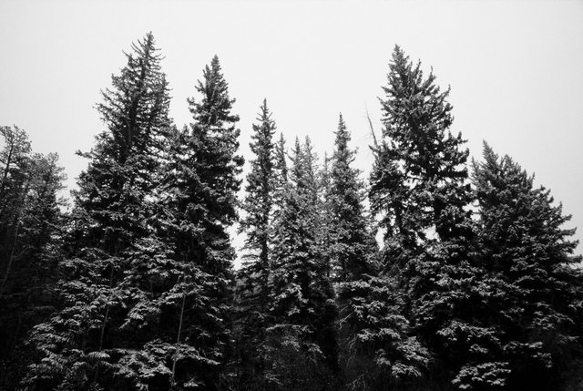 0002_Northern Rockies, Spring 2015. Scan #12.tif