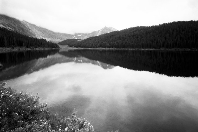 0003_Bowen Parika Mountains, Colorado, Summer 2015. Scan #70.tif