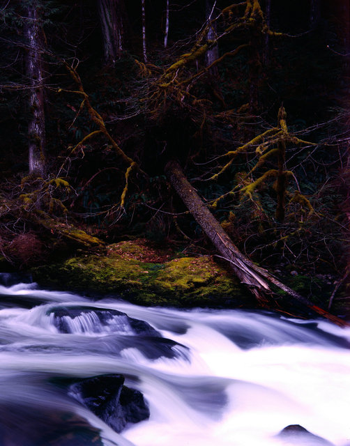 salmon river no.1.jpg