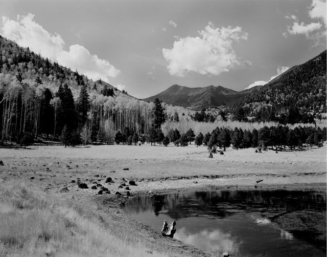 Lockett Meadows, San Francisco Peaks, Arizona, 2009.tif