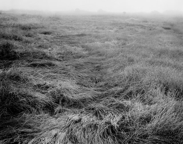 fog.jpg