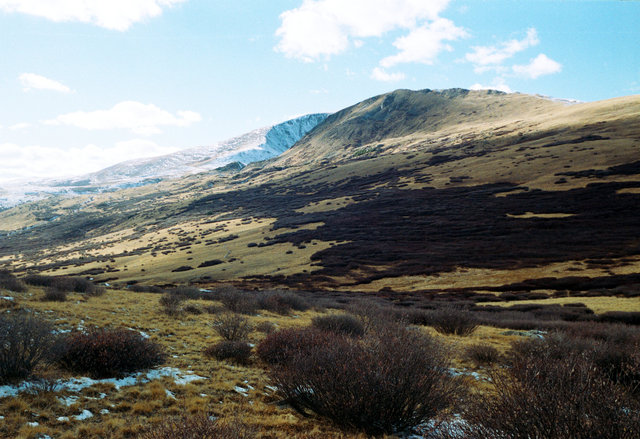 IIIf colorado color.tif