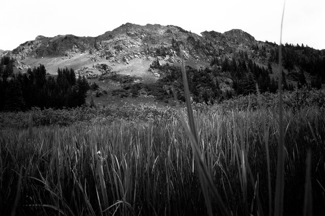 0001_Bowen Parika Mountains, Colorado, Summer 2015. Scan #30.tif