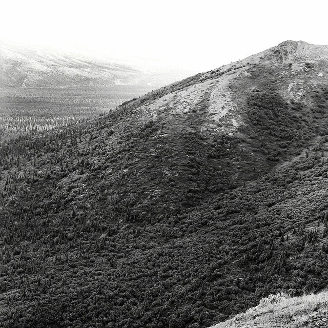 0001_denali national park.tif