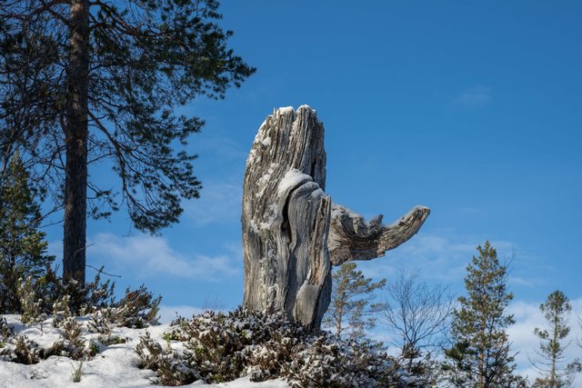 Grane, Norway