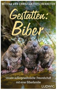 Kutschenreiter Naturfotografie Biber Zwergerl Insekten Pflanzen Säugetiere Vögel Makro Panorama Schmuck Mokume Gane