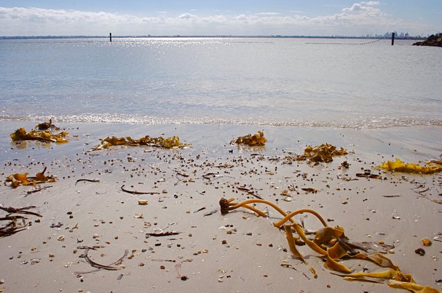 Pools - Kurnell Tidal Baths # 3