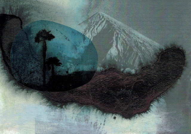 mountain palms.jpg