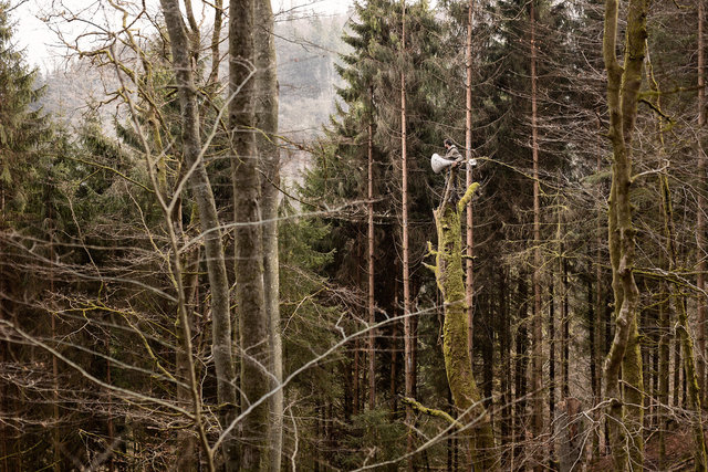 The Birds Know More | Series of 14 images and a letter | 2016