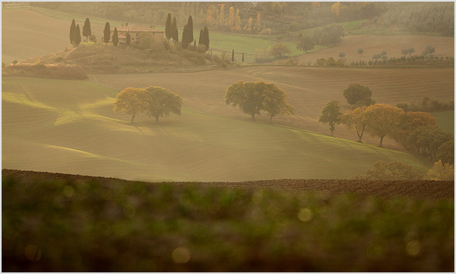 near san quirico