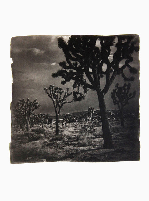 American Diary-040.JPG