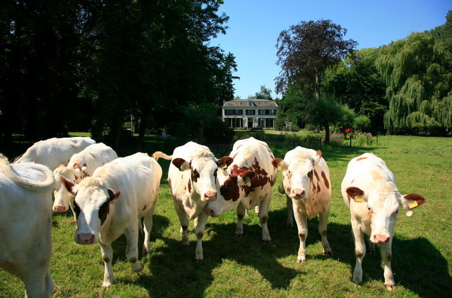 deventer - landgoed achterhoek