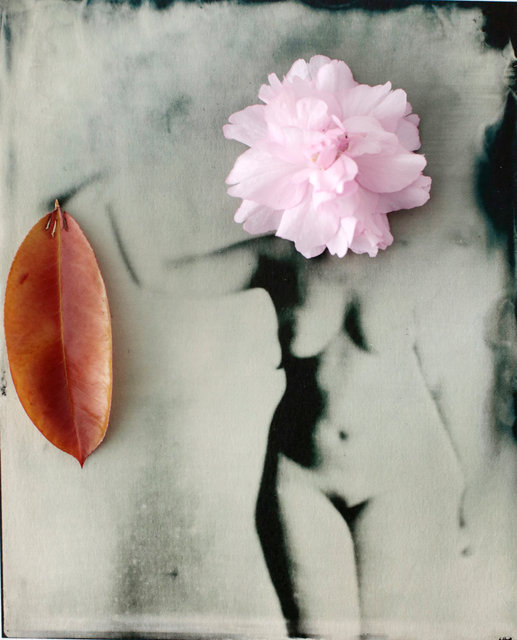 FLOWERS_1_050.JPG