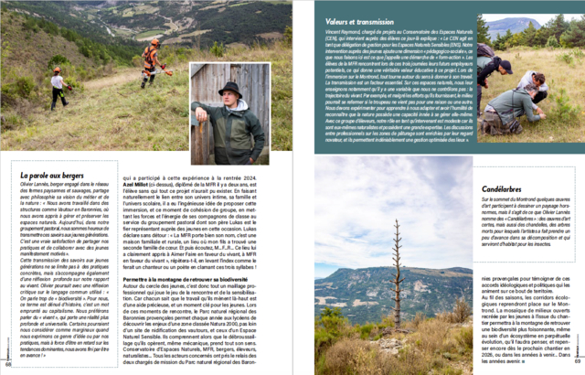 Capture d’écran 2025-11-26 à 11.33.58.png