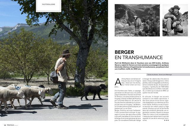 transhumance_1.jpg