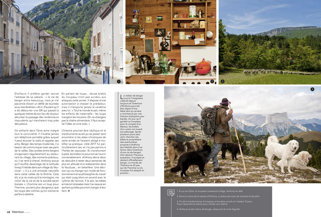 transhumance_2.jpg
