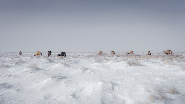 Aral Landscapes-66-bewerkt.jpg